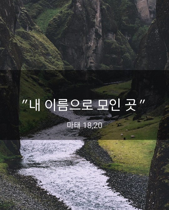 KakaoTalk_20230623_170035249.jpg