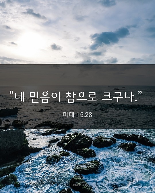 KakaoTalk_20230819_220802514.jpg
