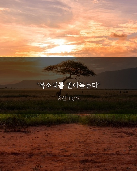 KakaoTalk_20220507_225203612.jpg