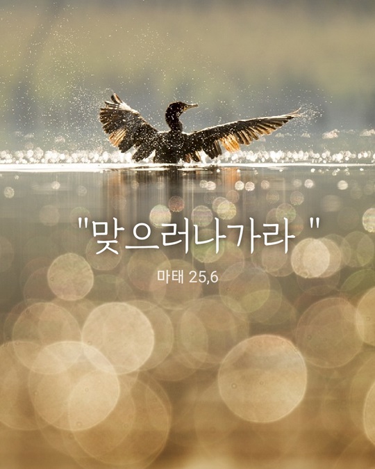 KakaoTalk_20231129_152852002.jpg