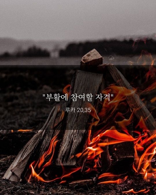 KakaoTalk_20221104_153811852.jpg
