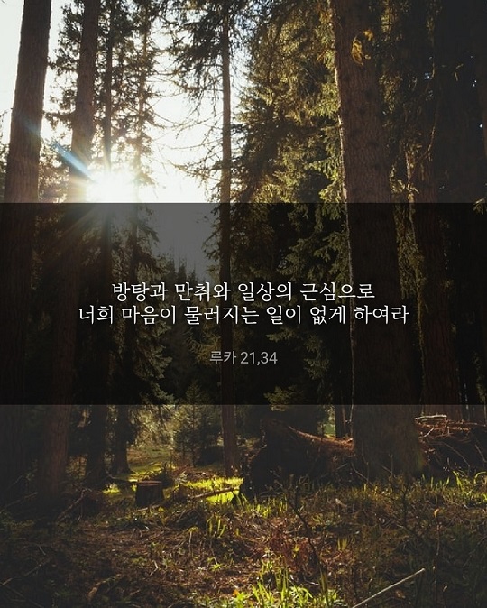KakaoTalk_20211127_064944786.jpg