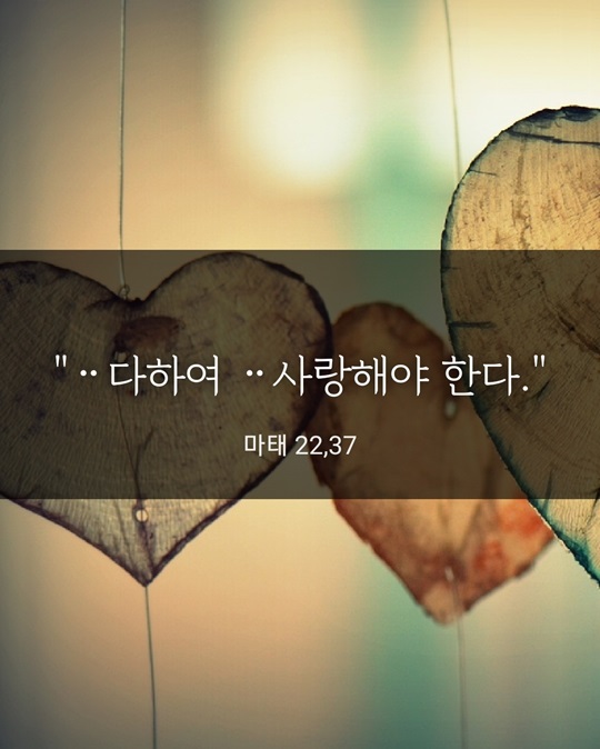 KakaoTalk_20231129_153036397.jpg