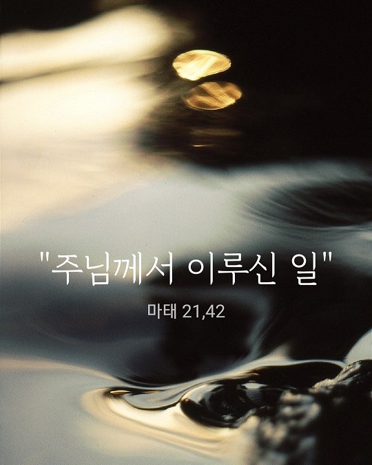 KakaoTalk_20231013_174015012.jpg