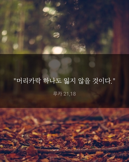 KakaoTalk_20221112_214330445.jpg