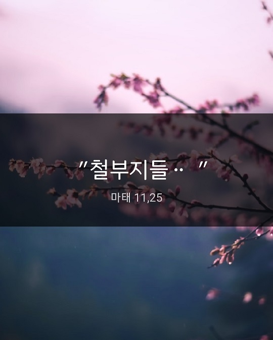 KakaoTalk_20230706_220206119.jpg