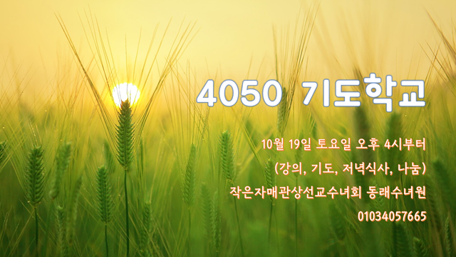 KakaoTalk_20241003_094110460.png