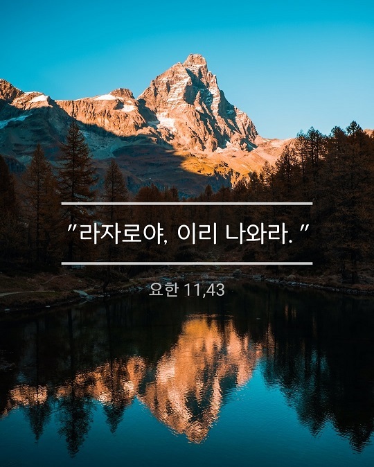 KakaoTalk_20230323_195151269.jpg