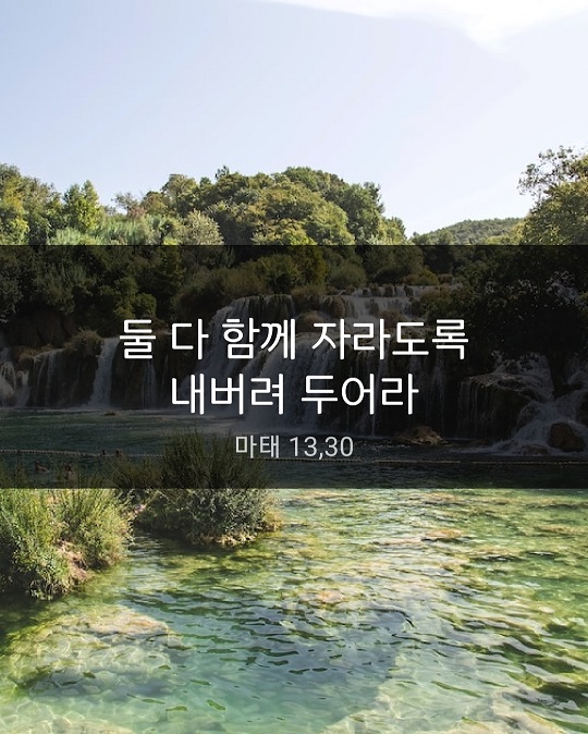 KakaoTalk_20230720_114417289.jpg