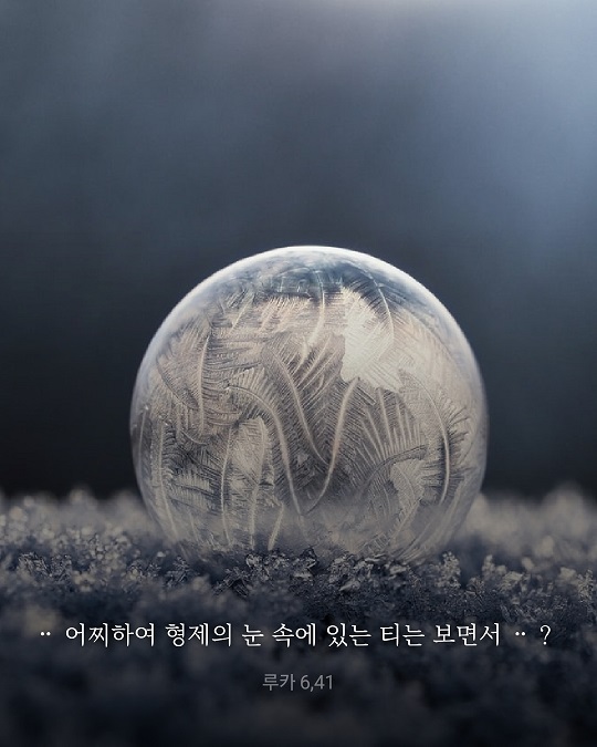 KakaoTalk_20220224_203450644.jpg