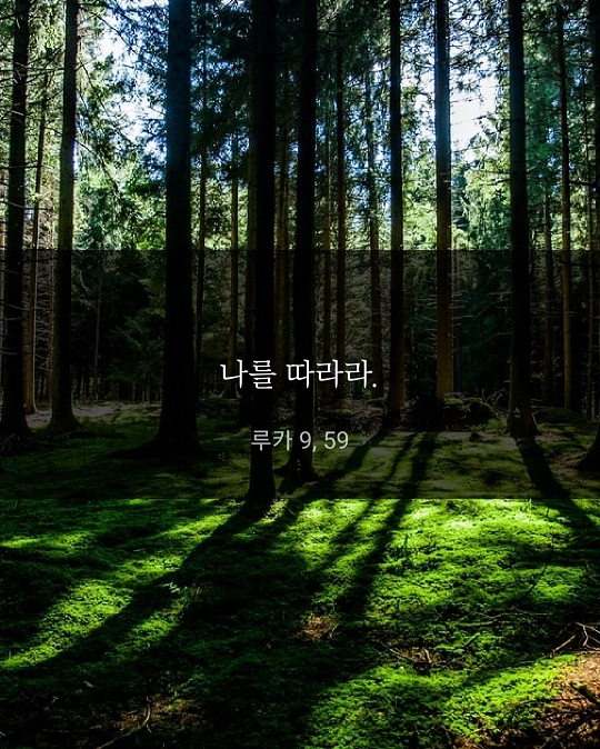 KakaoTalk_20220623_204640900.jpg