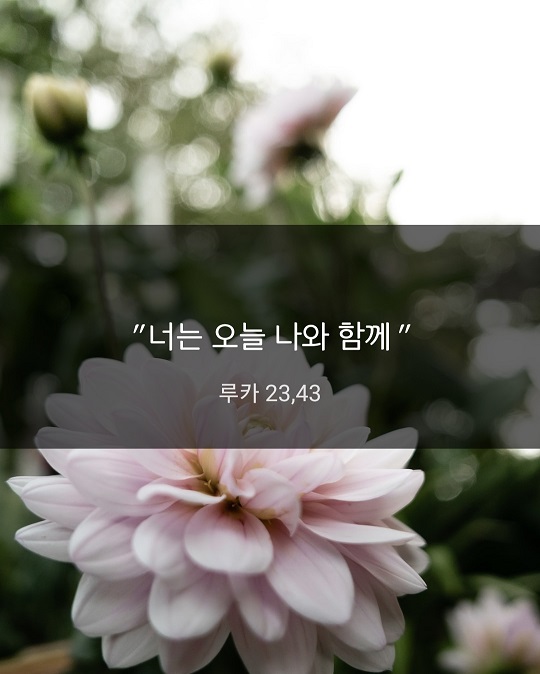 KakaoTalk_20221117_221250589.jpg