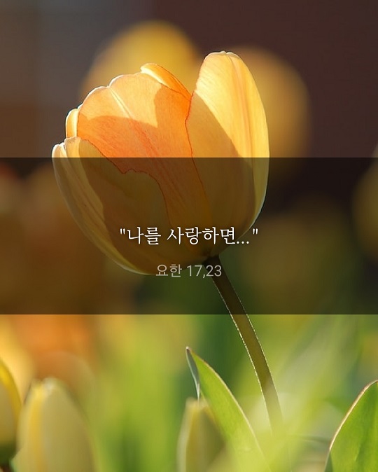 KakaoTalk_20220523_191924059.jpg