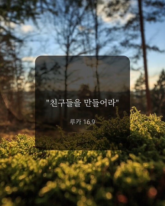 KakaoTalk_20220916_100744220.jpg