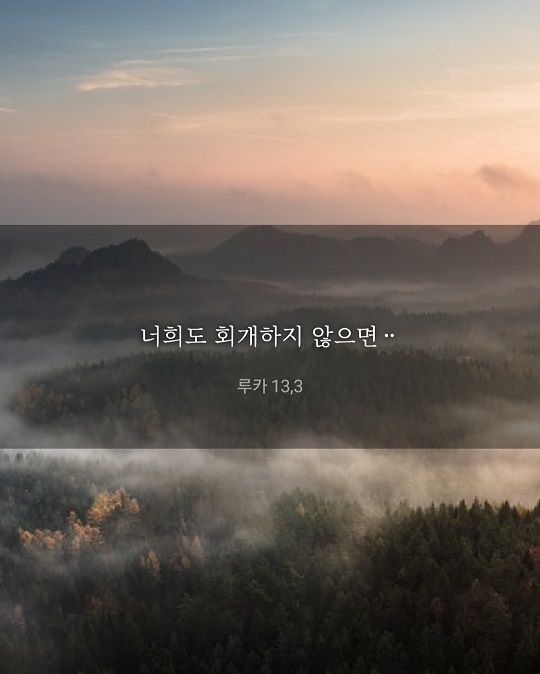 KakaoTalk_20220319_180306060.jpg