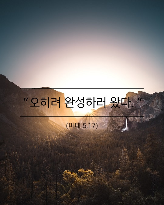 KakaoTalk_20230209_170713427.jpg