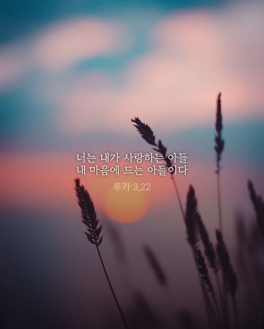 KakaoTalk_20220108_175904468.jpg
