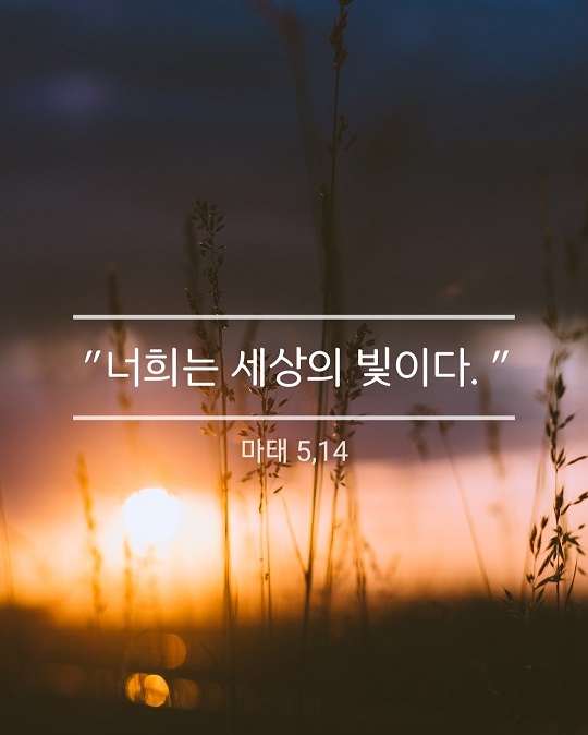 KakaoTalk_20230204_143548888.jpg