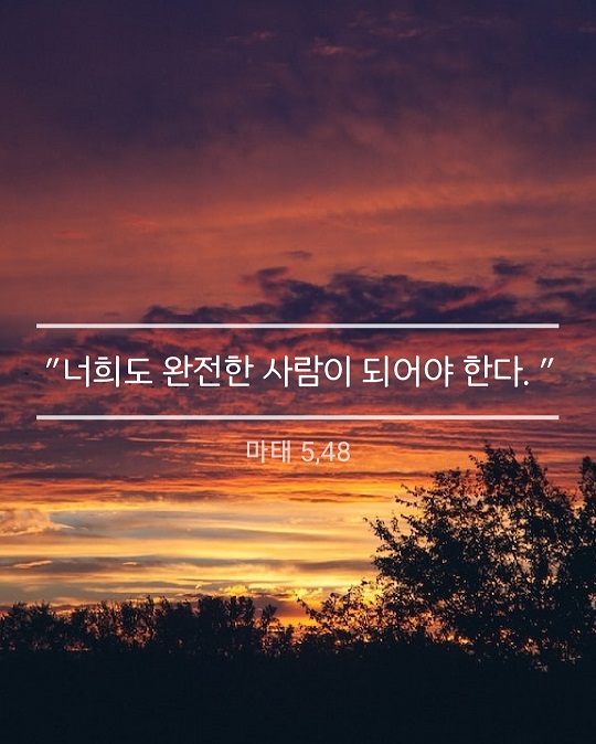 KakaoTalk_20230217_185850401.jpg
