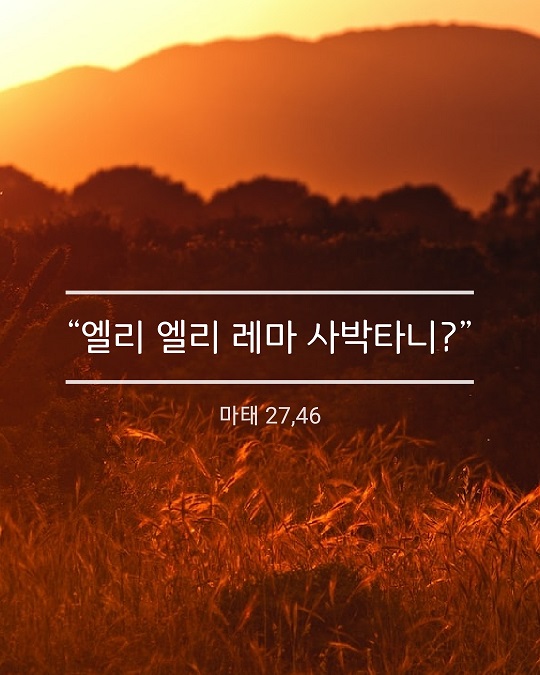 KakaoTalk_20230330_175552314.jpg