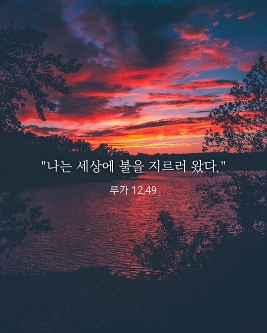 KakaoTalk_20220811_203342143.jpg