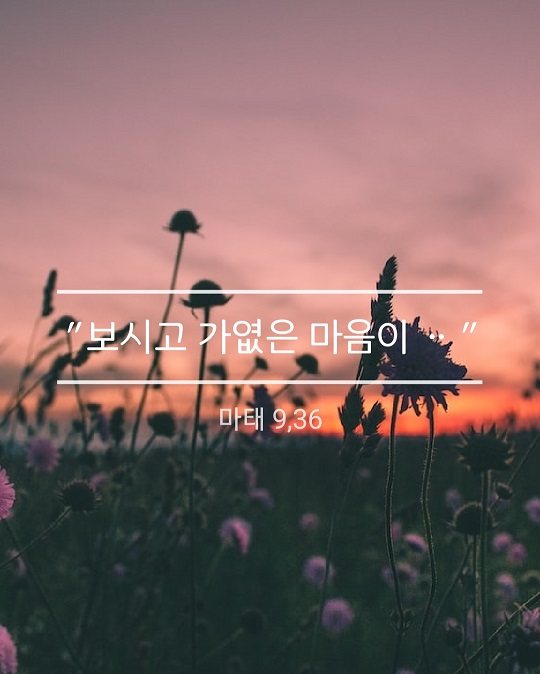 KakaoTalk_20230616_162141440.jpg