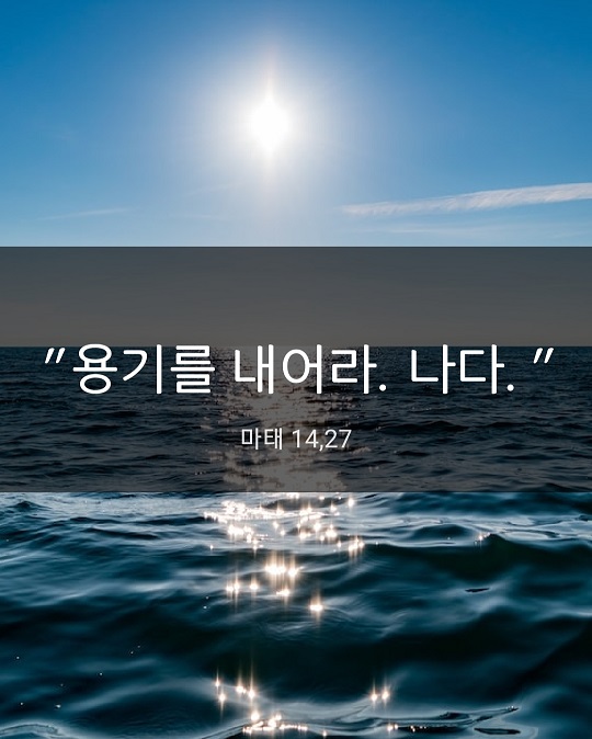 KakaoTalk_20230811_220215160.jpg
