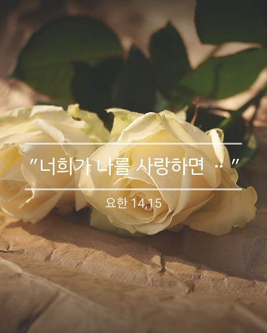 KakaoTalk_20230512_182431178.jpg