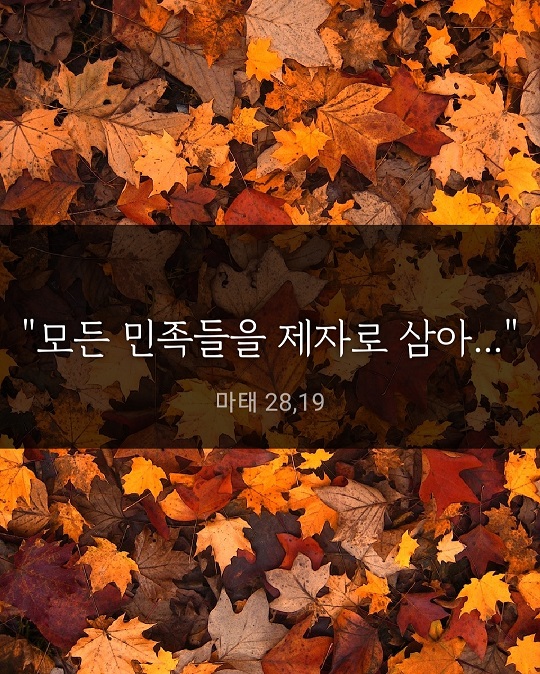 KakaoTalk_20231026_184720036.jpg