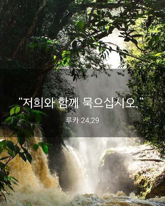 KakaoTalk_20230420_233858658.jpg