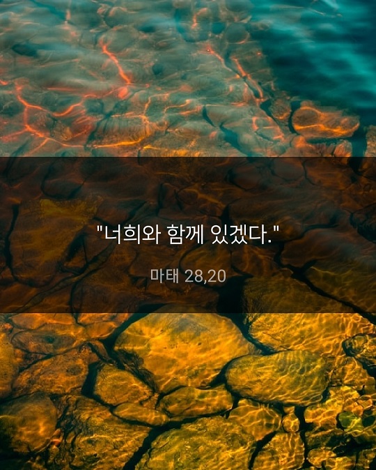 KakaoTalk_20221020_092651553.jpg