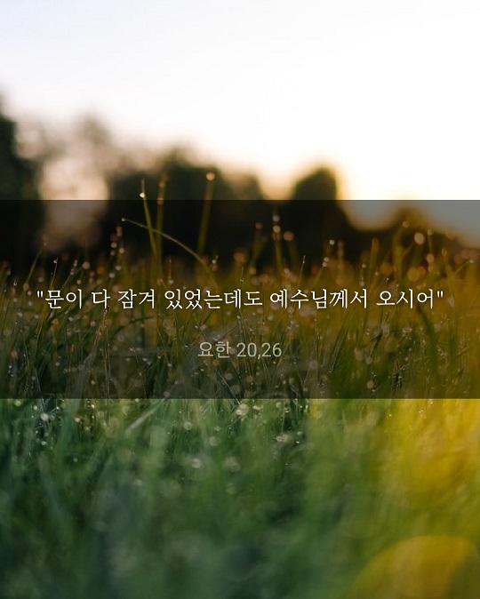 KakaoTalk_20220423_110039063.jpg