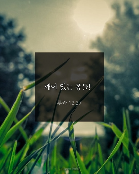 KakaoTalk_20220806_151213028.jpg