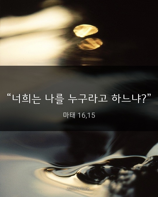 KakaoTalk_20230825_184129122.jpg