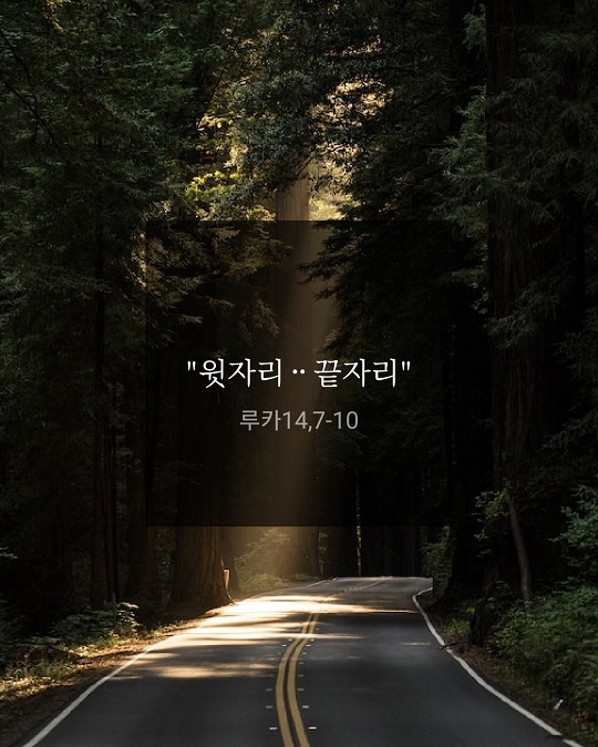 KakaoTalk_20220826_165350845.jpg