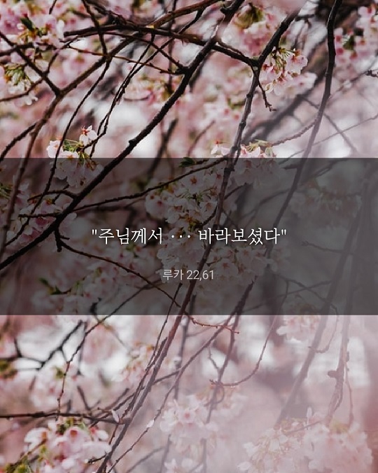 KakaoTalk_20220409_173629597.jpg