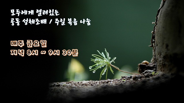 KakaoTalk_20240402_161239939.jpg