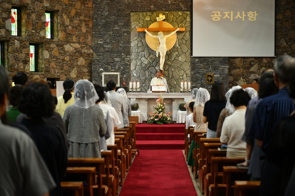 [꾸미기]DSC_6534.JPG