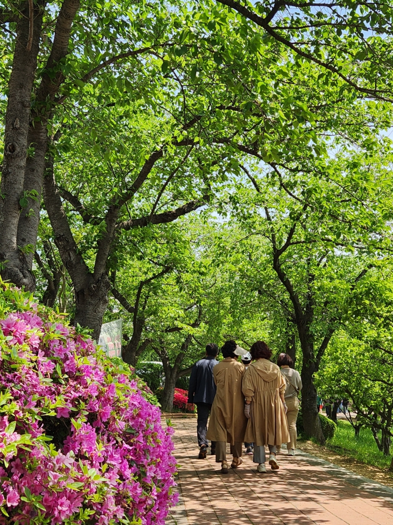 [꾸미기]20240428_122232.jpg