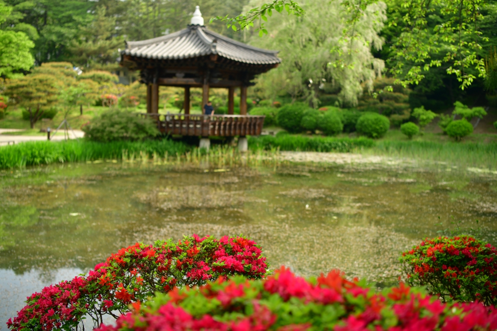 [꾸미기]DSC_4388.JPG