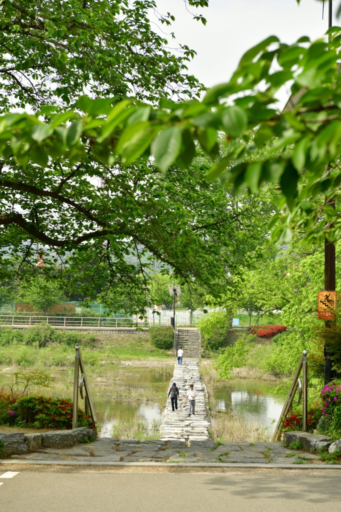 [꾸미기]DSC_4395.JPG