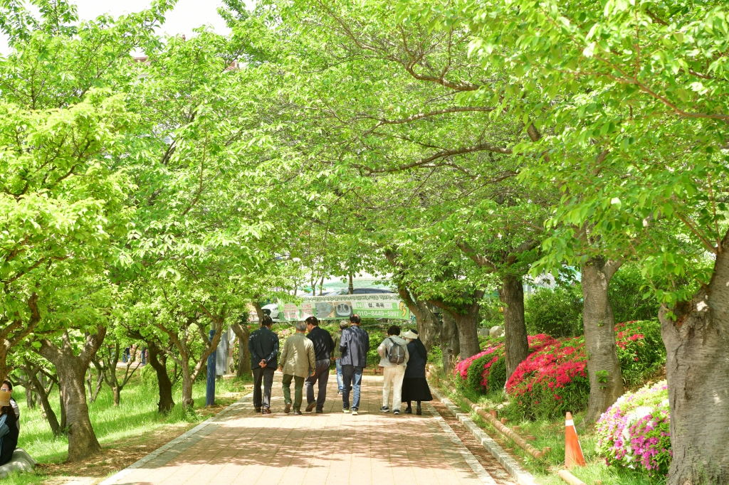 [꾸미기]DSC_4461.JPG