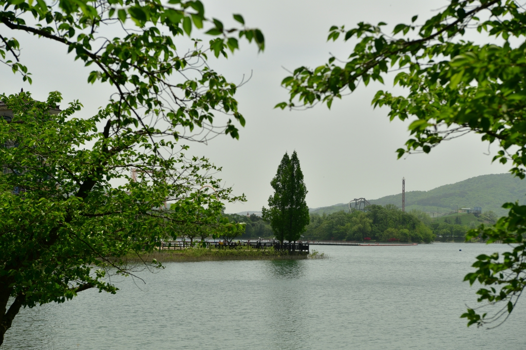 [꾸미기]DSC_4475.JPG