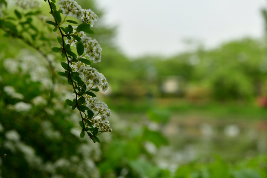[꾸미기]DSC_4393.JPG