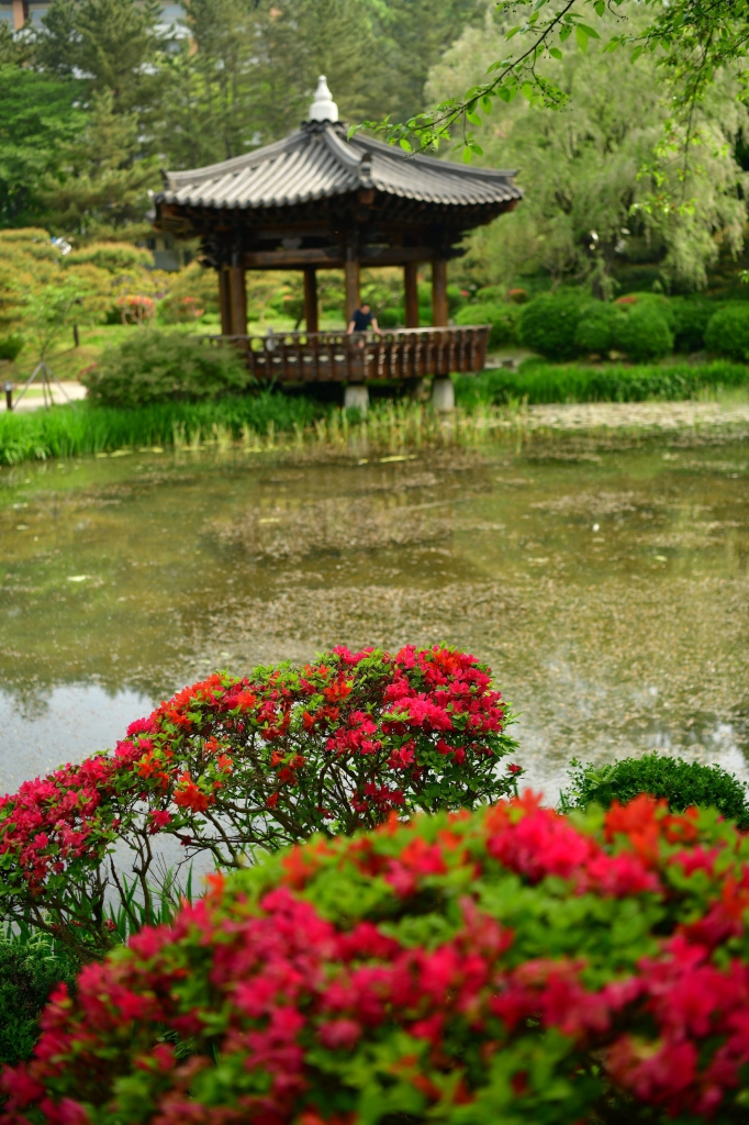 [꾸미기]DSC_4389.JPG