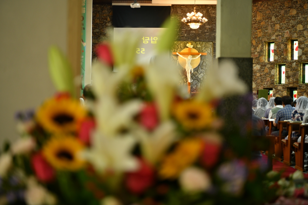 [꾸미기]DSC_6259.JPG