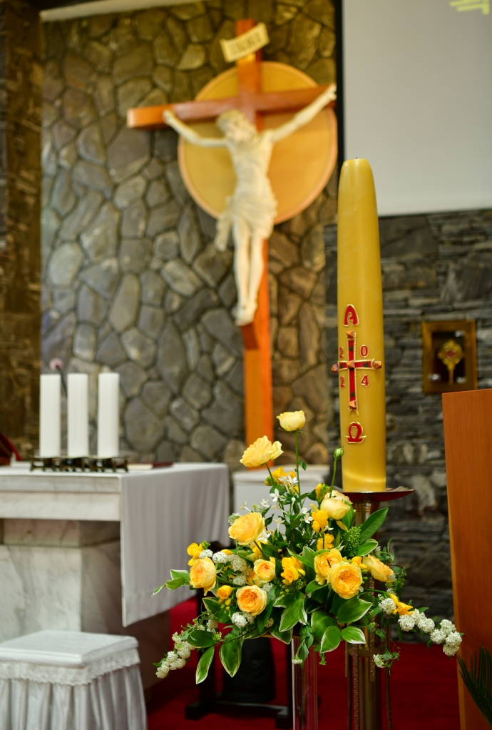 DSC_3819.JPG