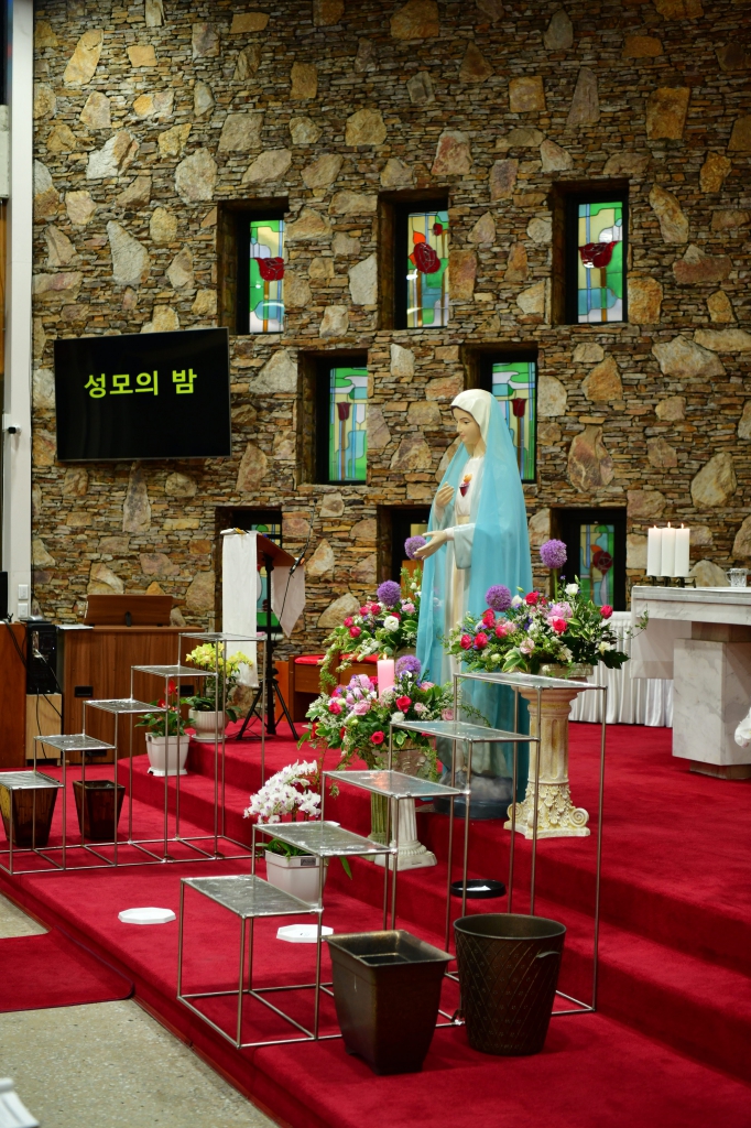 [꾸미기]DSC_4772.JPG