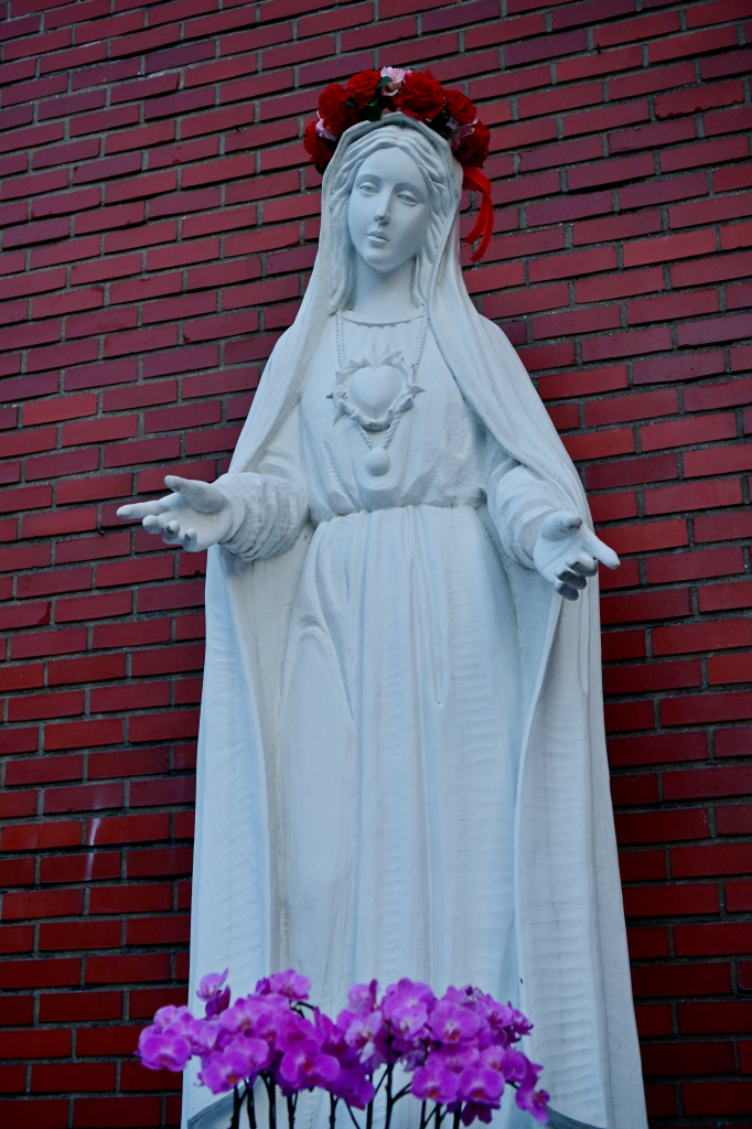 [꾸미기]DSC_4783.JPG
