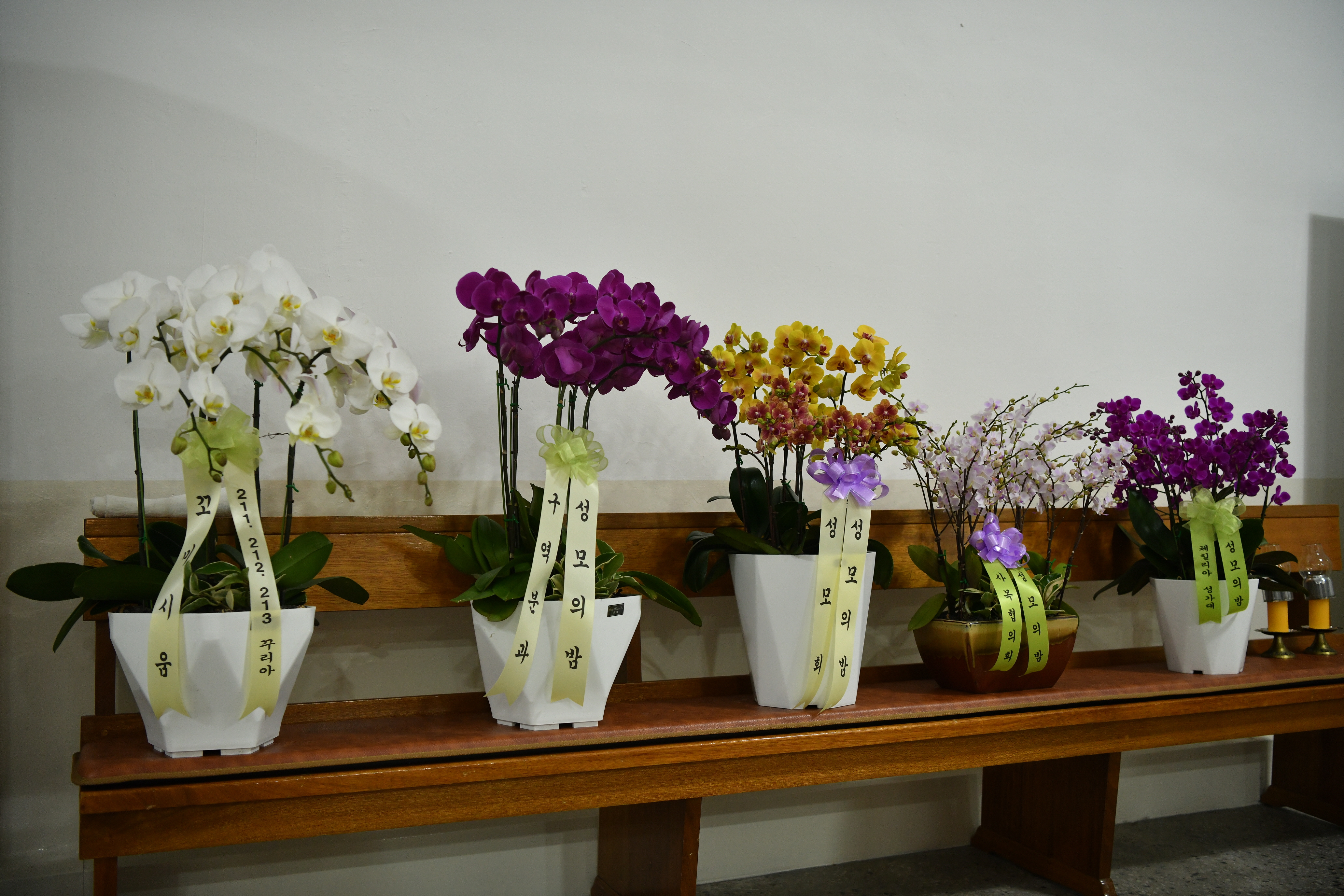 [꾸미기]DSC_8816.JPG